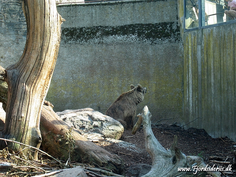 KBH zoo 190703 229.JPG